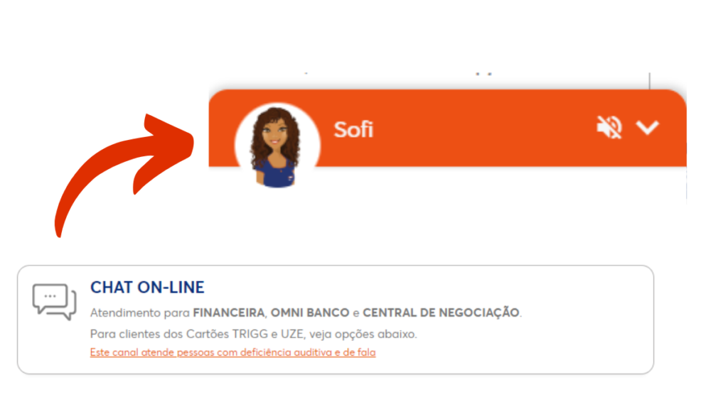 Chat Online Banco Omni