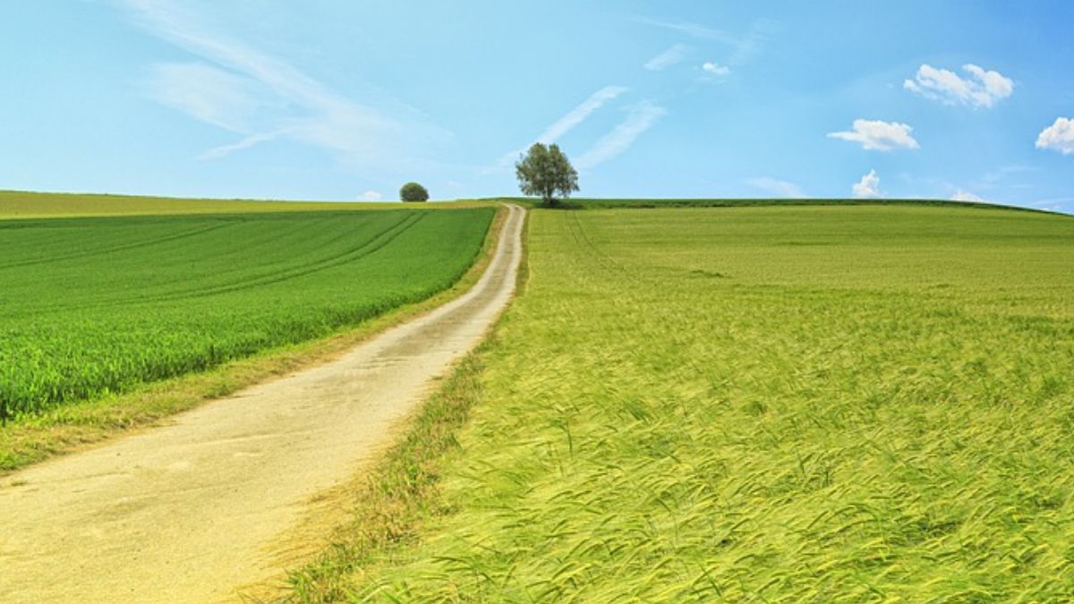 Financiamento Rural.